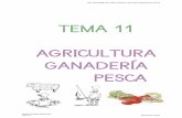 TEMA 11 AGRICULTURA GANADERÍA PESCA...TEMA 11 AGRICULTURA GANADERÍA PESCA Obj. Actividades del sector primaria: agricultura, ganadería y pesca Parque-Colegio Santa Ana Aula P.T.
