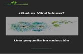 ¿Qué es Mindfulness?vivencia Es. Así decimos que Mindfulness es el estado que deviene al vivenciar el momento presente. Observación pura de lo que está sucediendo (exterior e