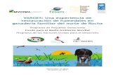 VARGES: Una experiencia de restauración de humedales en … · 2020-05-06 · paludosas integradas por camalotes (Eicchornia crassipes, E. azurea y Pontederia lanceolata), cucharones