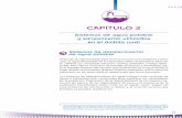 CAPÍTULO 2 - Centro de Información Sobre Desastres Y Saludcidbimena.desastres.hn/docum/ops/libros/ImpactoDes... · Sistemas de agua potable y saneamiento utilizados en el ámbito