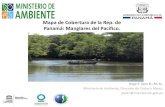 Presentación de PowerPoint - par-manglares.net · Mapa de Cobertura de la Rep. de Panamá: Manglares del Pacífico. Jorge E. Jaén B.; M. Sc. Ministerio de Ambiente, Dirección de