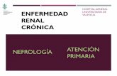 RENAL CRÓNICApacienterenal.general-valencia.san.gva.es/wp-content/... · 2018-12-12 · min/ 1,73 m2 pero no tratados con diálisis crónica ni trasplante renal (categorías de FG