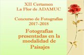 Álbum de fotografías - UCM...May 02, 2019  · Concurso de Fotografías 2017-2018 Fotografías presentadas en la modalidad de Paisajes ¡¡¡Viva Guanajuato¡¡¡ de María Ángeles