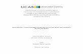 UNIVERSIDAD CATÓLICA ANDRÉS BELLO MENCIÓN …biblioteca2.ucab.edu.ve/anexos/biblioteca/marc/texto/AAT2453.pdf · 6.1.2 Variables psicográficas..... 253 . vii 6.2 Determinar los