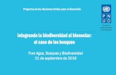 Integrando la biodiversidad al bienestar: el caso de los ...archivos.diputados.gob.mx/Comisiones_LXIII/agua/ponencias/07.pdf · La pérdida de biodiversidad amenaza el Desarrollo