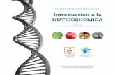 Introducción a la NUTRIGENÓMICA - SENPE · 6. Nutrigenómica: Regulación de la expresión génica mediada por macronutrientes 7. Nutrigenómica: Regulación de la expresión génica