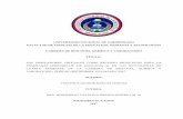 UNIVERSIDAD NACIONAL DE CHIMBORAZO FACULTAD DE CIENCIAS DE ...dspace.unach.edu.ec/bitstream/51000/3671/1/UNACH-FCEHT-TG-E.B… · preocupación de ingresar en el mundo de las TIC’S