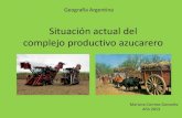 Situación actual del complejo productivo azucareroffyl1.uncu.edu.ar/IMG/pdf/Actualidad_cana_de_azucar.pdfcircuito, respondiendo a la demanda que hacía años sostenía el sector cañero,