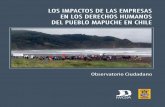 LOS IMPACTOS DE LAS EMPRESAS Observatorio Ciudadano y … · 2019-05-25 · los im pac tos de las empresas en los derechos humanos del pueb lo mapuche en chile grupo in tern a c ional