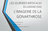 LES JOURNEES MEDICALES DU GRAND DAX L’IMAGERIE DE …...• B Mazières : la radiographie standard dans la coxarthrose et la gonarthrose ; Reflexions rhumatologiques 2009 ; 124 tome