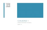 CALIDAD 1 - intranet.iesmoda.edu.mxintranet.iesmoda.edu.mx/docs/Calidad1_sesion12.pdf · Tratando a cada cliente como VIP Haciendo que los recursos estén disponibles para todos Conociendo
