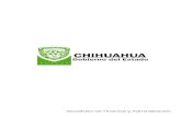 GOBIERNO DEL ESTADO DE CHIHUAHUAihacienda.chihuahua.gob.mx/tfiscal/indtfisc/CUENTAPUBLICA2008.pdf · instituto chihuahuense de la juventud 13,880,831 junta de asistencia privada en