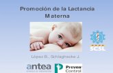 Promoción de la Lactancia Materna · La NTP 664 del 2004 sobre Lactancia materna y vuelta al trabajo . Propuesta de reincorporación laboral. 1.Riesgosntificados ide para la LM 2.Medidas