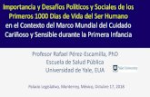Importancia y Desafíos Políticos y Sociales de los …iin.oas.org/pdf-iin/RH/2018/reunion-anexos/ANEXO_1...Palacio Legislativo, Monterrey, México, Octubre 17, 2018 Profesor Rafael