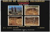 Suelos de regiones volvanicas : Tenerife, islas Canariashorizon.documentation.ird.fr/exl-doc/pleins_textes/divers15-11/16340.pdfLas Islas Canarias están situadas frente al desierto