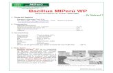 Bacillus MIPerú WP · 2014-11-12 · Efectividad de Bacillus MIPerú WP sobre larvas de Oiketicus sp. en el cultivo de Palto Cuadro 5. Porcentaje acumulado de control. Tratamientos