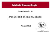 Materia Inmunología Materia InmunologíaMateria Inmunología ... · Seminario 9 Inmunidad en las mucosas Año: 2020 Universidad de Buenos Aires Facultad de Medicina Materia InmunologíaMateria