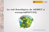 La red fenológica de AEMET y europea (PEP725)€¦ · aplicación de fenología. Próximo desarrollo: página web para la introducción de datos. Relleno y envío convencional fichas