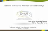 Presentación de PowerPoint€¦ · Juan Carlos Hernández Fonseca Néstor Chaves Barrantes XV encuentro nacional de frijol y IV encuentro nacional de maíz 26 al 28 de junio de 2019.