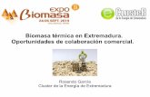 Biomasa térmica en Extremadura. Oportunidades de ... · biomasa, minieólica, ahorro y eficiencia energética, …) por parte de la Junta de Extremadura Programa de desarrollo rural