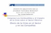 INSTITUTO ARGENTINO DE LA ENERGIA “GENERAL MOSCONI” · 2013-12-11 · Congreso:Los Combustibles y el Impacto de la Crisis sobre el Sector Eléctrico Efecto de la Crisis en el