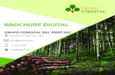 BROCHURE DIGITAL - GRUPO FORESTALgrupoforestal.pe/contenido/pdf/brochure.pdfBROCHURE DIGITAL +51 981 073 184 GRUPO FORESTAL DEL PERÚ SAC SOBRE NUESTRA EMPRESA Somos una empresa peruana