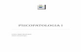 PSICOPATOLOGIA Ifredybarale.com.ar/wp-content/uploads/2017/06/Apunte-Psicopatolo… · Trastornos transitorios y Trastornos permanentes en niños. Introducción: Relación antisocial.