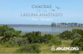 Te invitamos a compartir la compra sobre la laguna Garzón, › pdfproyectos › chacras.pdf · premium Quartier - Argencons puede lucir con orgullo en Punta del Este a Quartier Punta
