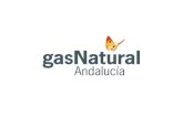 Gas Natural Andalucía€¦ · Distribución de gas en Sevilla Gas Natural Andalucía invirtió en 2014 cerca de 11,7 millones de euros en la provincia de Sevilla para ampliar la