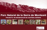 Parc Natural de la Serra de Montsant · 2015-11-06 · 2011 . Diagnosi del sector oleícola del Parc Natural de la Serra de Montsant ; ... (29.119 ha) 0 100 200 300 400 500 600 700.