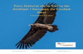 Parc Natural de la Sierra de Andújar i llacunes de Ciudad Realbirdingicaro.com/uploads/47a4395d2023c9b93d3d712e20575ecd.pdf · capblanc, morell xocolater, grues, tètol cuanegre,