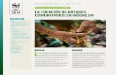 HOJA INFORMATIVA LA CREACIÓN DE BOSQUES 2014 …d2ouvy59p0dg6k.cloudfront.net/downloads/final_ip_indo_comm_fore… · comunitarias y del manejo forestal comunitario en las remotas