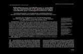 Glioblastoma multiforme y estudio de la resistencia a la ... › pdf › rmc › v139n4 › art01.pdf · pués de las enfermedades del sistema circulatorio según el Instituto Nacional