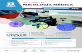 email micología médica · POSTULACIONES 2 DE MAYO AL 21 DE JULIO INICIO DE CLASES: 4 DE AGOSTO 2017 CAMPUS DE TALCA Facutad De Cl iencias De La sa lud MÁS INFORMACIÓN