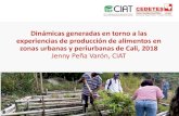 Presentación de PowerPoint€¦ · Jenny Peña Varón, CIAT. 1. Contexto de Cali •Impacto de la creciente urbanización •Pobreza y segregación socio-espacial. 1. Contexto de
