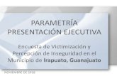 PARAMETRÍA PRESENTACIÓN EJECUTIVA · 2019-02-06 · PARAMETRÍA PRESENTACIÓN EJECUTIVA Encuesta de Victimización y Percepción de Inseguridad en el Municipio de Irapuato, Guanajuato