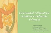 Enfermedad de Crohn en Atención Primaria · Enfermedad Inflamatoria Intestinal. Información conjunta GETECCU/ACCU España. Boletin nº 1. 2008. 6. C. Pérez Tárrago , A. Puebla