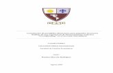 Constitución de portafolios financieros para pequeños ...imgbiblio.vaneduc.edu.ar/fulltext/files/TC131350.pdf · crowdfunding inmobiliario, potencialidades, sus partícipes necesarios
