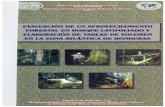 PORTADA - International Tropical Timber Organization 94...PORTADA Proceso de.Aprovechamiento Forestal en 105 sitios Los Encuentros (La Ceiba) y Cavieles (Olanchito). Fotos: PROINEL.