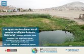 Las aguas subterráneas en el parque ecológico AntonioLa razón Mg2+/Ca2+ aumenta con la proporción de agua de mar en la mezcla. Alcanza un valor cercano a 5 en el agua de mar, mientras