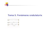 Tema 5. Fenòmens ondulatoris...D2 • Ones 3D o tridimensional: la pertorbació es propaga en un medi tridimensional (l’espai real), els seus punts es localitzen mitjançant un