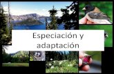 Especiación y adaptación · Especiación Simpátrida En esta especiación se forma una nueva especie sin que se establezca previamente una barrera geográfica . Si la misma región