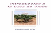 Introducción a la Cata de Vinos - WordPress.com · manual del vino almudena pÉrez salas 1. direcciones de interes 1.1. tiendas especializadas bodegas bordino, c/ azcona, 13 la bodega