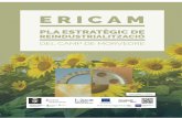 Setembre 2016 - ERICAM · Informe de resultats de la Primera Sessió de Treball del Fòrum de Participació ... ferma per a incrementar el pes de la indústria en la seua economia