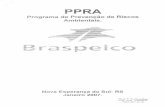 PPRA BRASPELCO 2007 - Justiça Federal do Rio …...Realizar anualmente a reavaiiaçäo do PPRA. Paulo E S. Goncalves Eng. CREA 39.13' -D PPRA 2 ESTRUTURA DO PROGRAMA (tabela 1) A