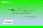 Singulars TESAT(Transició energètica · 2019-03-26 · EMELCAT sccl Pacte Nacional per la transició energètica a Catalunya Moció57/XI sobre política energètica i la moció