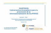 PACPYMES Instrumentos innovadores para la promoción de la ...€¦ · Desafíos para las MIPYMES en su proceso de internacionalización ... Difusión y marketing colectivo ... marketing