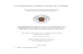 UNIVERSIDAD COMPLUTENSE DE MADRIDeprints.ucm.es/7744/1/T30013.pdf · DETERMINACIÓN Y EVALUACIÓN DE LAS EMISIONES DE DIOXINAS Y FURANOS EN LA PRODUCCIÓN DE CEMENTO EN ESPAÑA MEMORIA