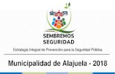 Municipalidad de Alajuela - 2018 · Sembremos Seguridad Alajuela Interna Externa Ministerio de Seguridad Pública (220 Encuestas: Fuerza Pública y Vigilancia Aérea (1.052 datos)