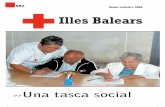 Nº Segon semestre 2006 Illes Balears - Cruz Roja · necessiten material ortopèdic a causa, per exemple, d’un accident o d’una malaltia. ... Salvament marítim 2 embarcacions